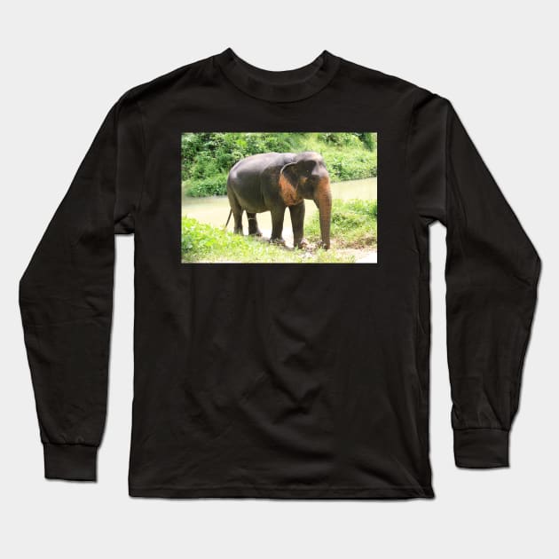 Asian elephant in Phuket, Thailand Long Sleeve T-Shirt by Kirkcov